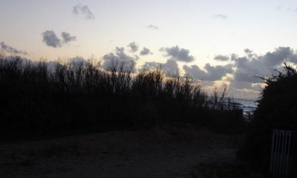 Ma promenade d'une heure derrière chez moi
