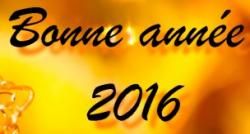 Bonne année 2016
