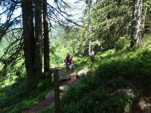 "Vosges 2022 - Après-midi du 11 juillet 2022 - Etang du Devin-Longemer"