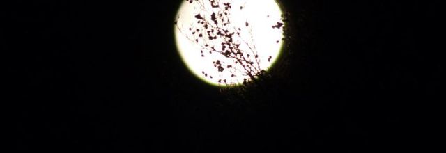 Haïku à la lune