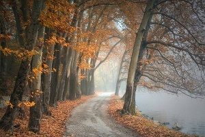 Automne ... 