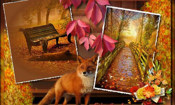 POURQUOI LES FEUILLES CHANGENT DE COULEUR EN AUTOMNE