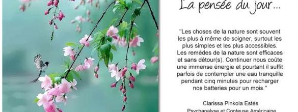 La pensée du jour (131)