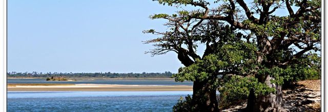 POINTE  DJIFER- LES  COLLINES  DE  NIASSAM