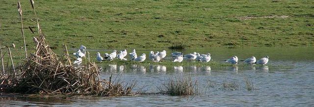 Inondations - Canal Ille et Rance - Bretagne (2/3)
