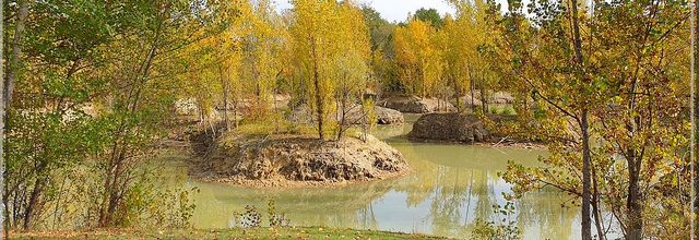 961 - Entre Albas (46) et Caussade (82)