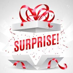 Surprise - Thème de haïkus pour vendredi 25 août - Lenaïg