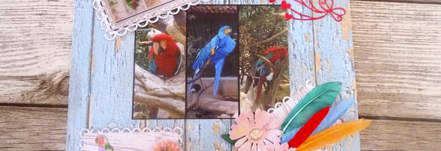 Une page pour l'album du zoo de la Palmyre : les aras