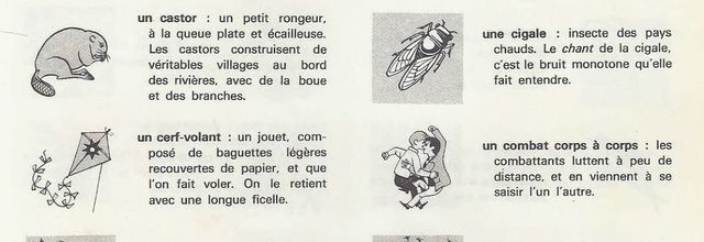 Le vocabulaire dans les manuels de lecture