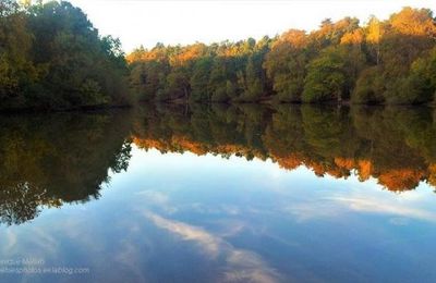 Rambouillet : Nos amis les arbres - Citation de Sitting Bull