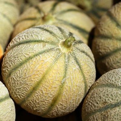 Hum ! ... Le melon ...