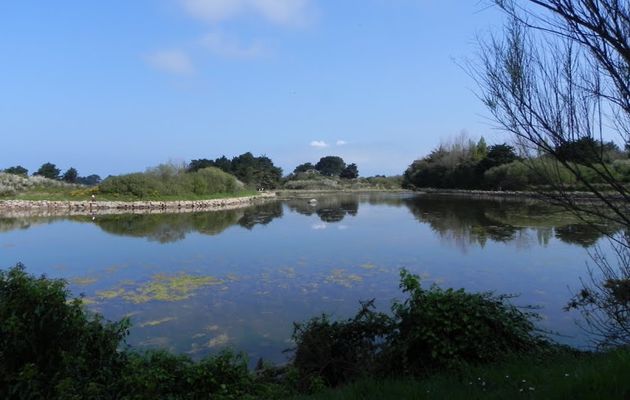Reflet à Trégastel