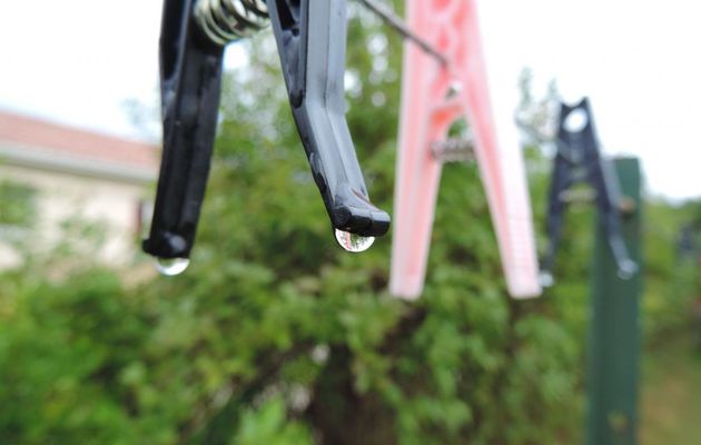 des gouttes sur les épingles 