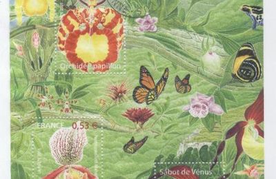 Un blog feuillet Orchidées au parfum de vanille - 2005