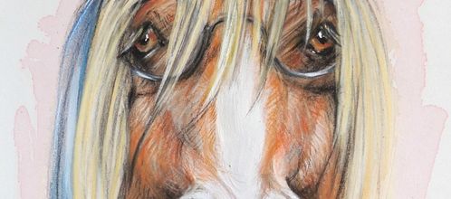 Exposition de Marie Breucq peintre animalier