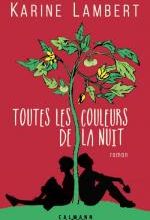 Toutes les couleurs de la nuit, Karine LAMBERT