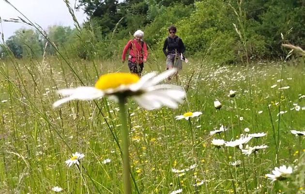 "Montot - Trouhans" - Dimanche 04 mai 2025