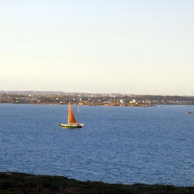 Une semaine à l'île de Batz en bonne compagnie (1)