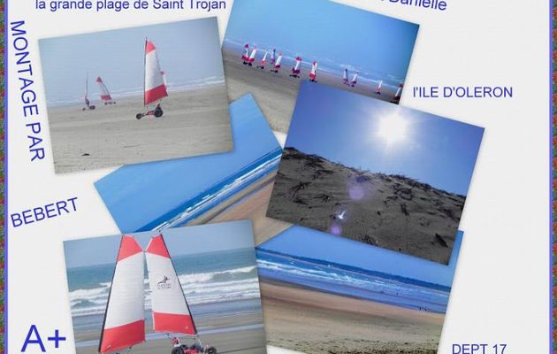 Mon premier collage