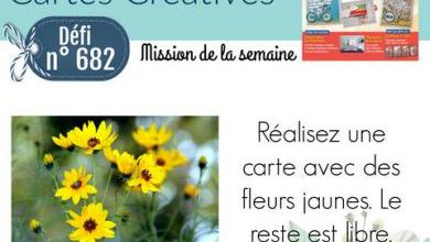 Passion Cartes  Créatives#682 !