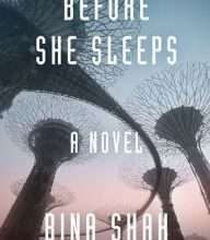 Free digital electronics books downloads Before She Sleeps: A Novel by Bina Shah