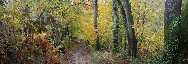 Ballade d'automne