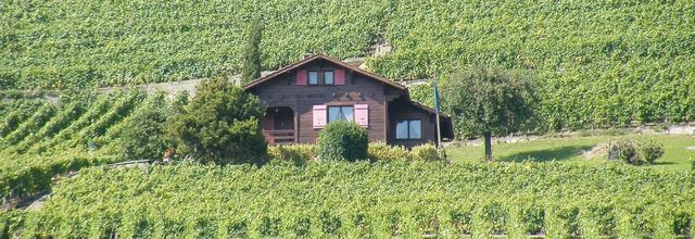 En passant par... les vignes de Lavaux