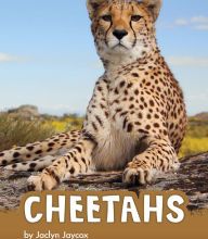 [Pdf/ePub] Cheetahs by Jaclyn Jaycox download ebook