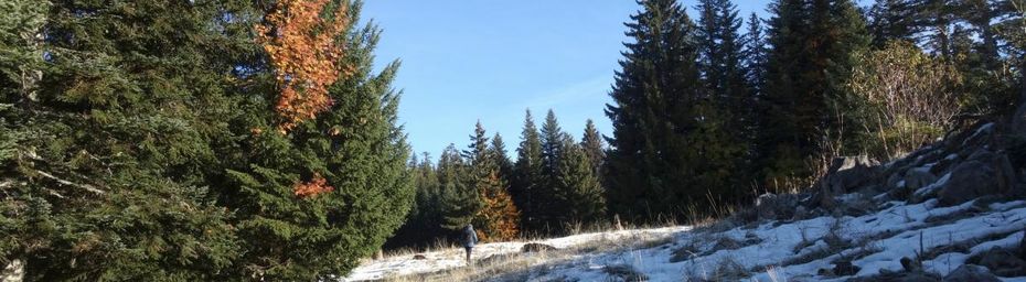 Le Semnoz de blanc revêtu