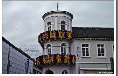 La fête du chrysanthème - part 1.