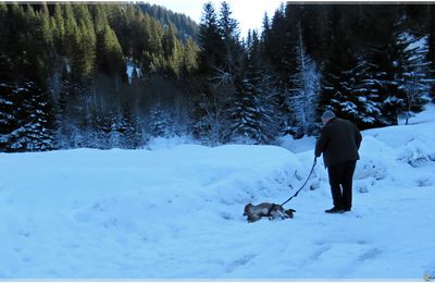 TOPH & PIF HIVER 2024 