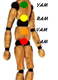 Vishuddha, la porte de l'Esprit