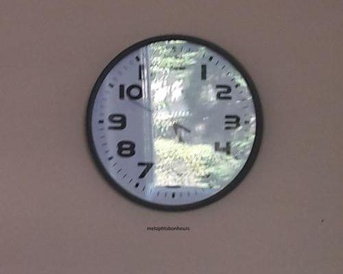 Reflets de juillet 2019: 1...