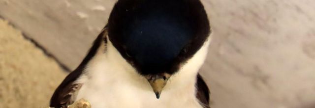 divers photos à Brouage