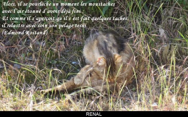 La toilette !!!!