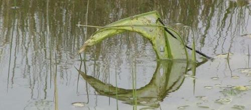 ... la nature a des idées déco...!!!