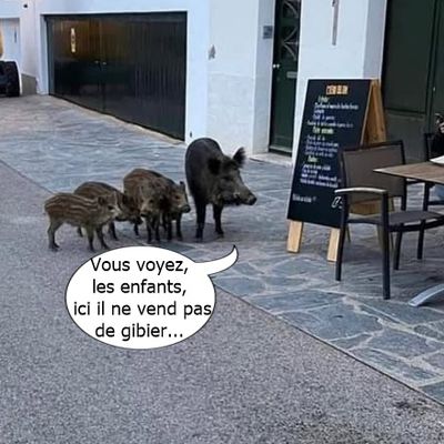 Un brave type !
