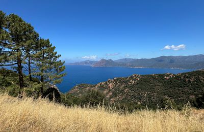 Dans les ruelles de Piana
