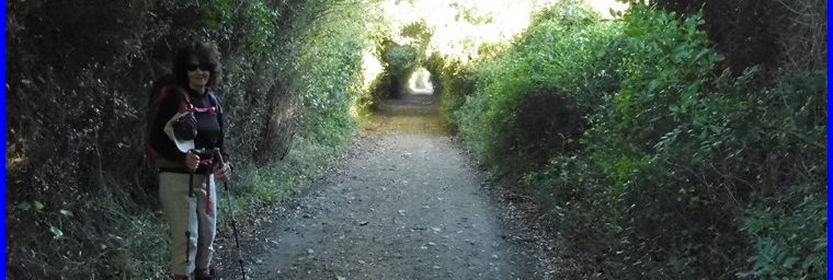 Corse la boucle de l'Acciolu