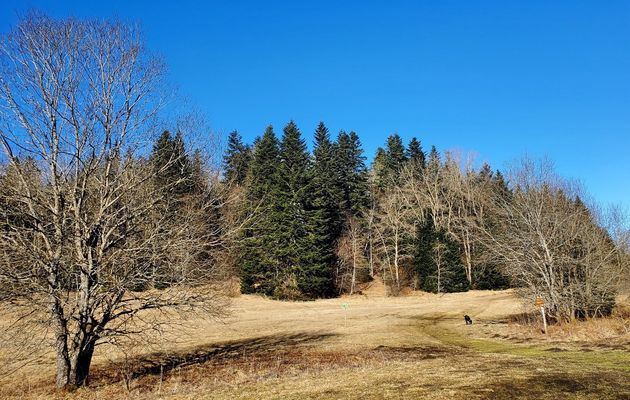 Le 3 février 2024 : Petite sortie à la Praille