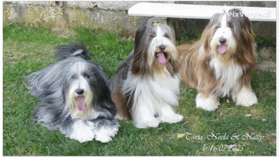 Tavia chez sa marraine Marie et ses copinettes Didi, Natty et Neela 