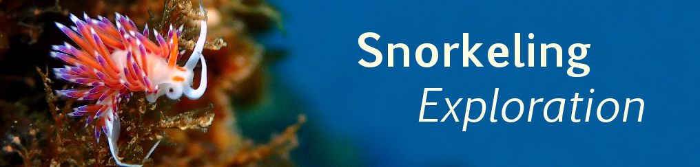 Header cover