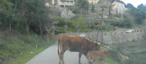 Mathurin  s'agite ce matin