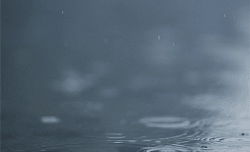 PLUIE 