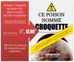 Croquettes