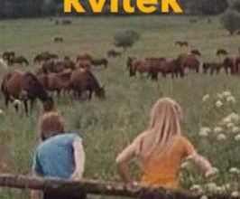 Žlutý kvítek. 1982.
