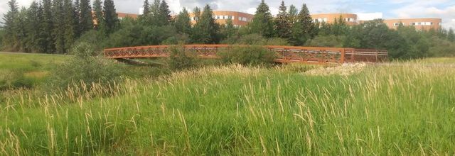 Journey Through Western Canada: Day Seven: From Grande Prairie to High Level