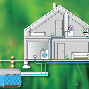 Biologas