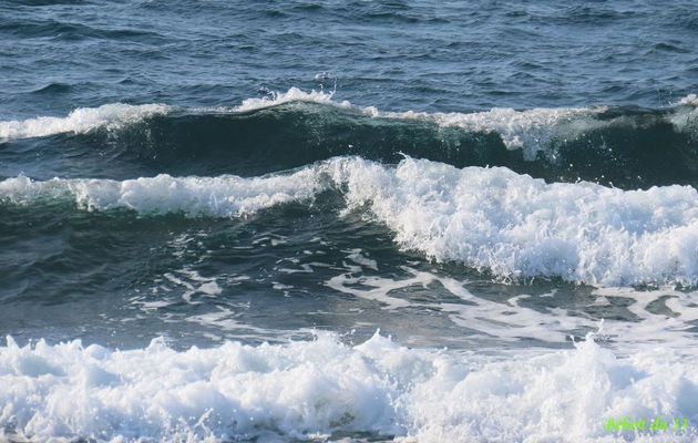 Des vagues à Carro  (dept 13)