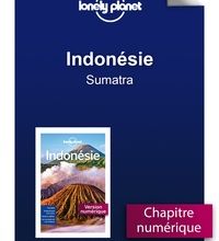 Meilleurs téléchargements gratuits de livres audio Indonésie - Sumatra 9782816165463 (French Edition) par Lonely Planet PDB MOBI